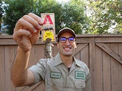 Indianapolis pest control